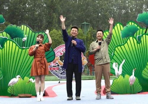 鞍山饭店爆料事件视频最新,事件真相与公众关注焦点